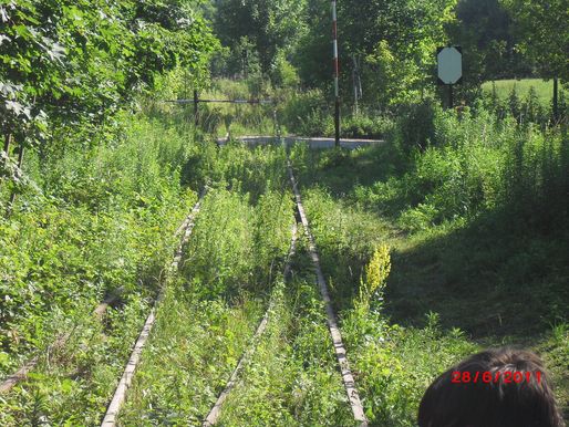 Bild-4