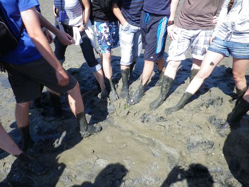 Bild-4