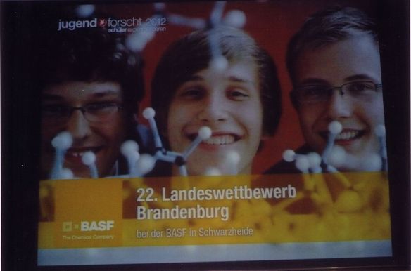 Bild-1
