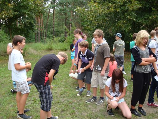 Bild
