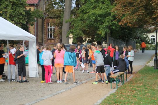 Bild-3