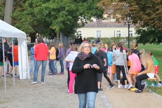 Bild-5