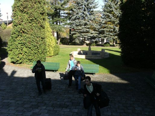 Bild-2