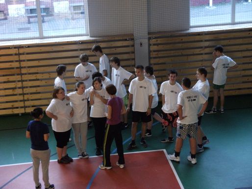 Bild-7
