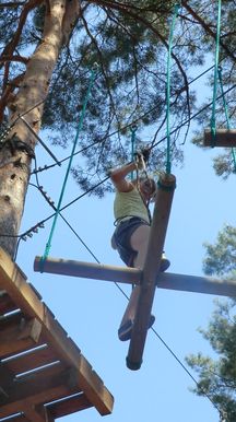 Bild-13