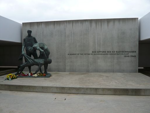 Bild-6
