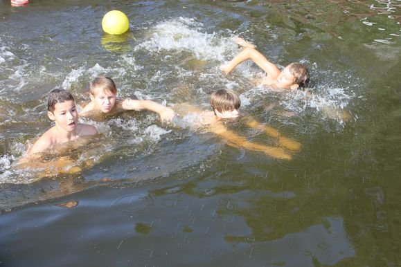 Bild-3