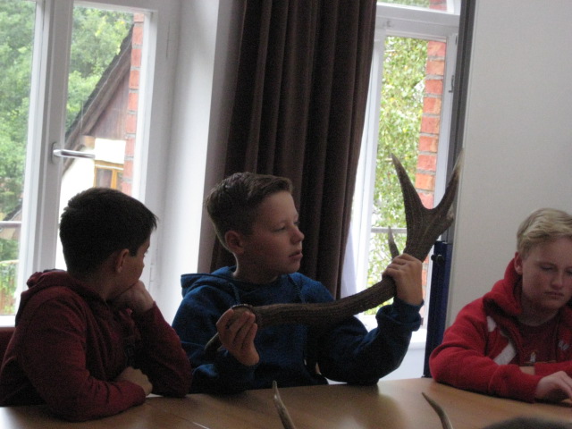 Bild-5