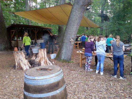 Bild-11