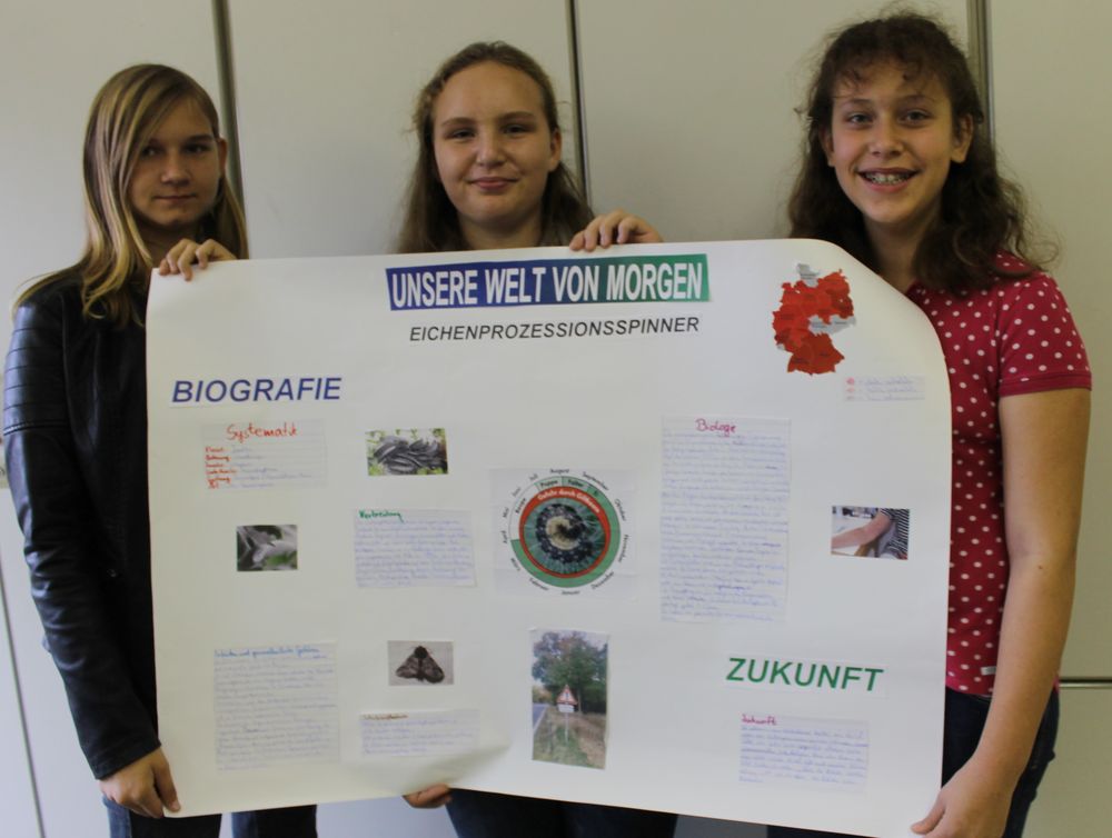 Bild-8