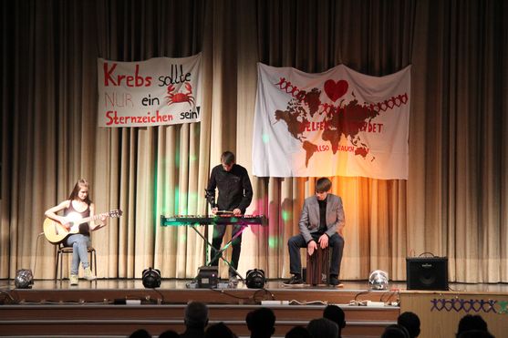 Bild-1