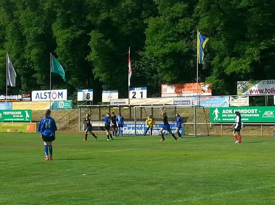 Bild-3