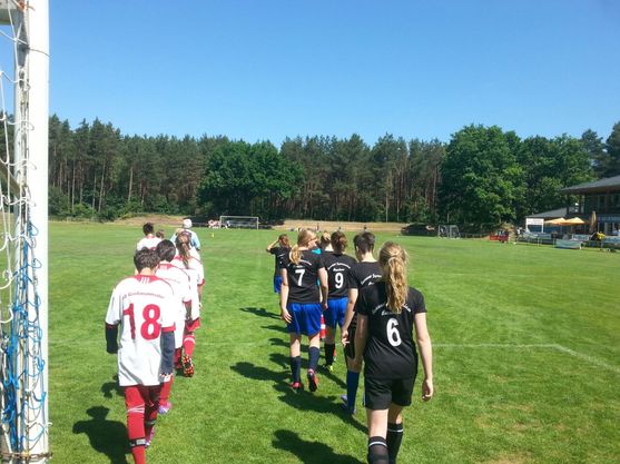 Bild-7