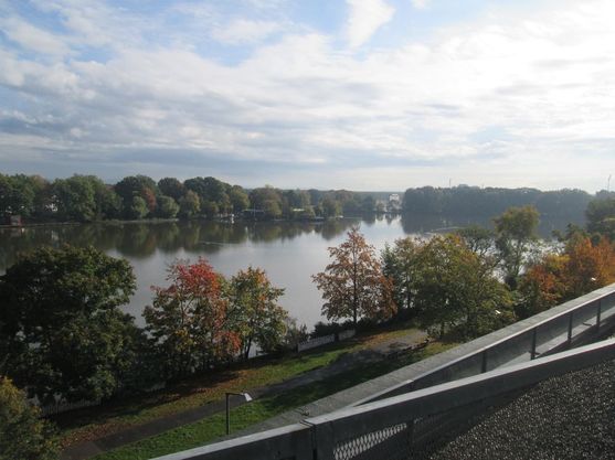 Bild-21