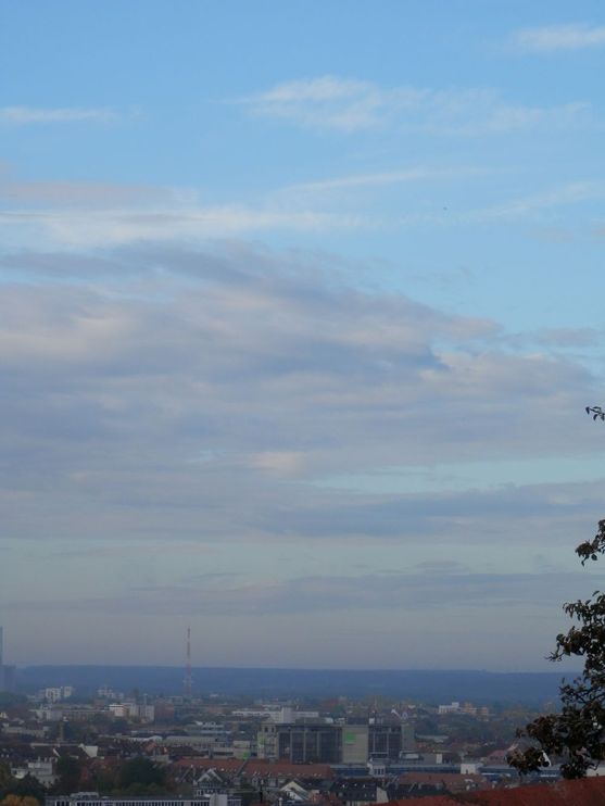 Bild-42