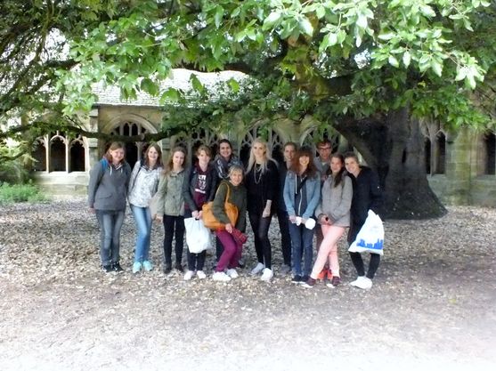 Bild-2