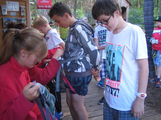 Bild-7