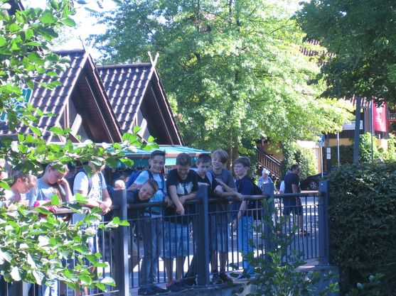 Bild-11