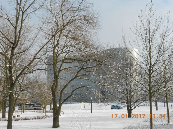 Bild-6