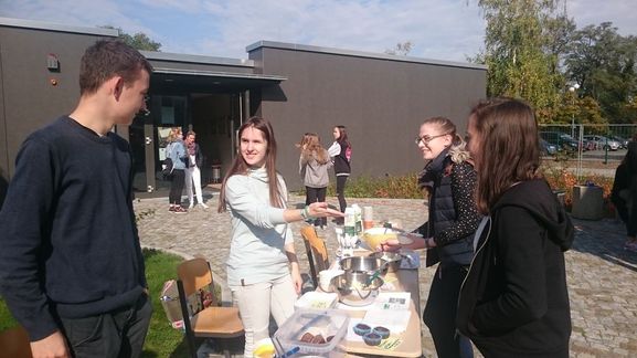 Bild-2