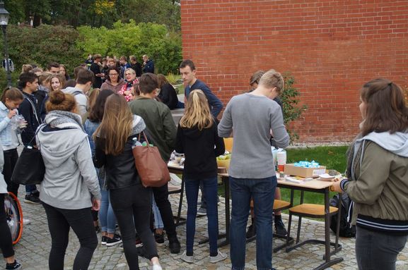 Bild-13