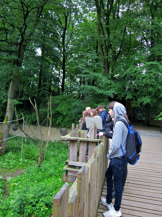 Bild-13
