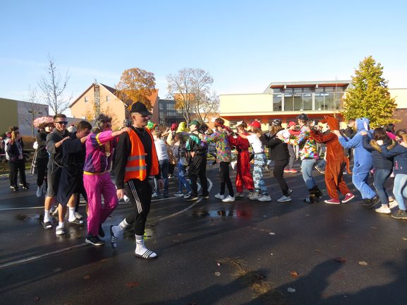 Bild-3