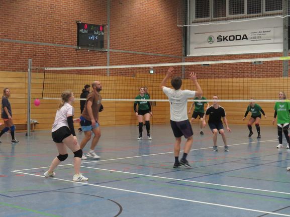 Bild-8